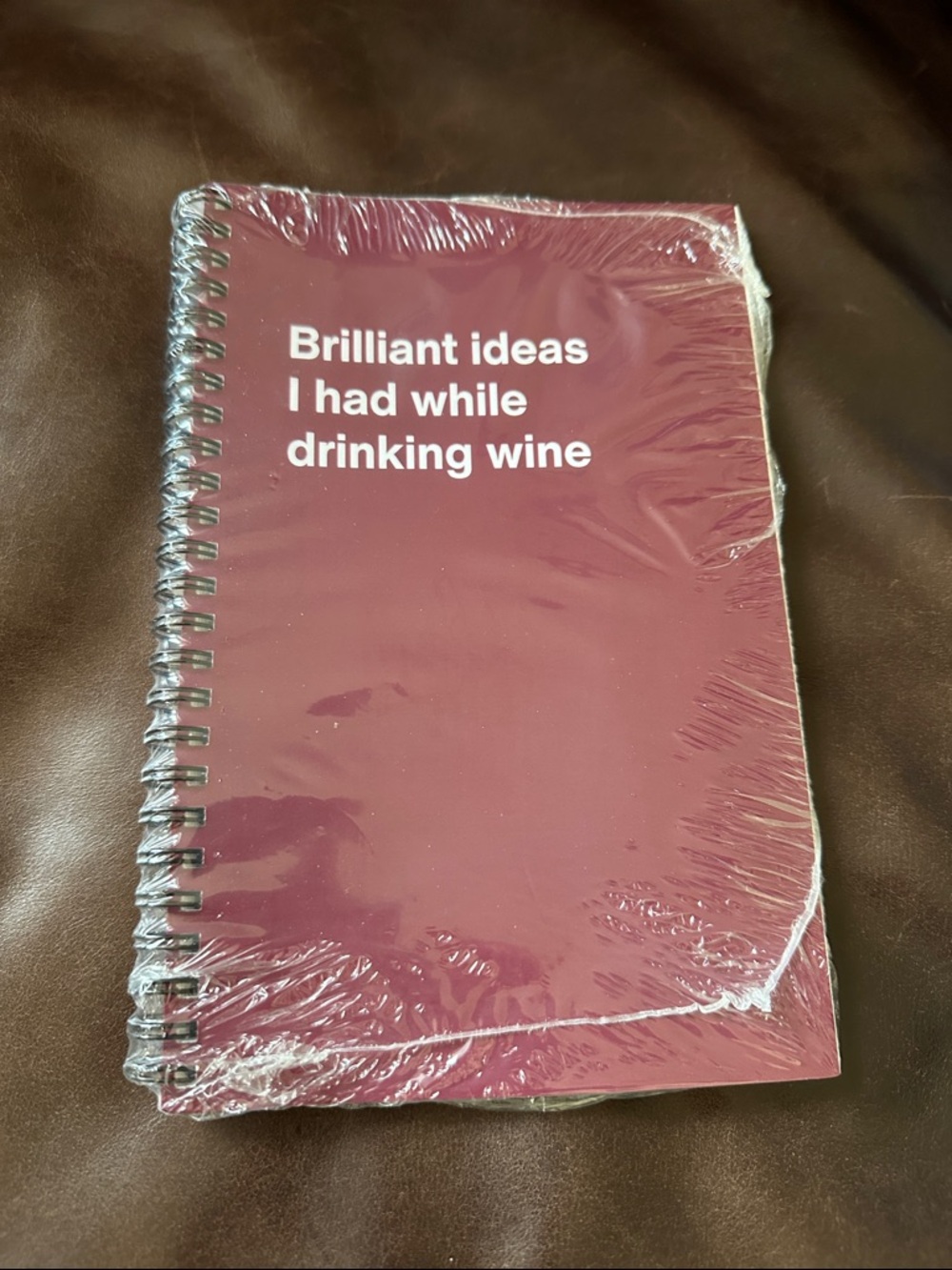NWT Brilliant Ideas I Had While Drinking Wine WTF Notebook